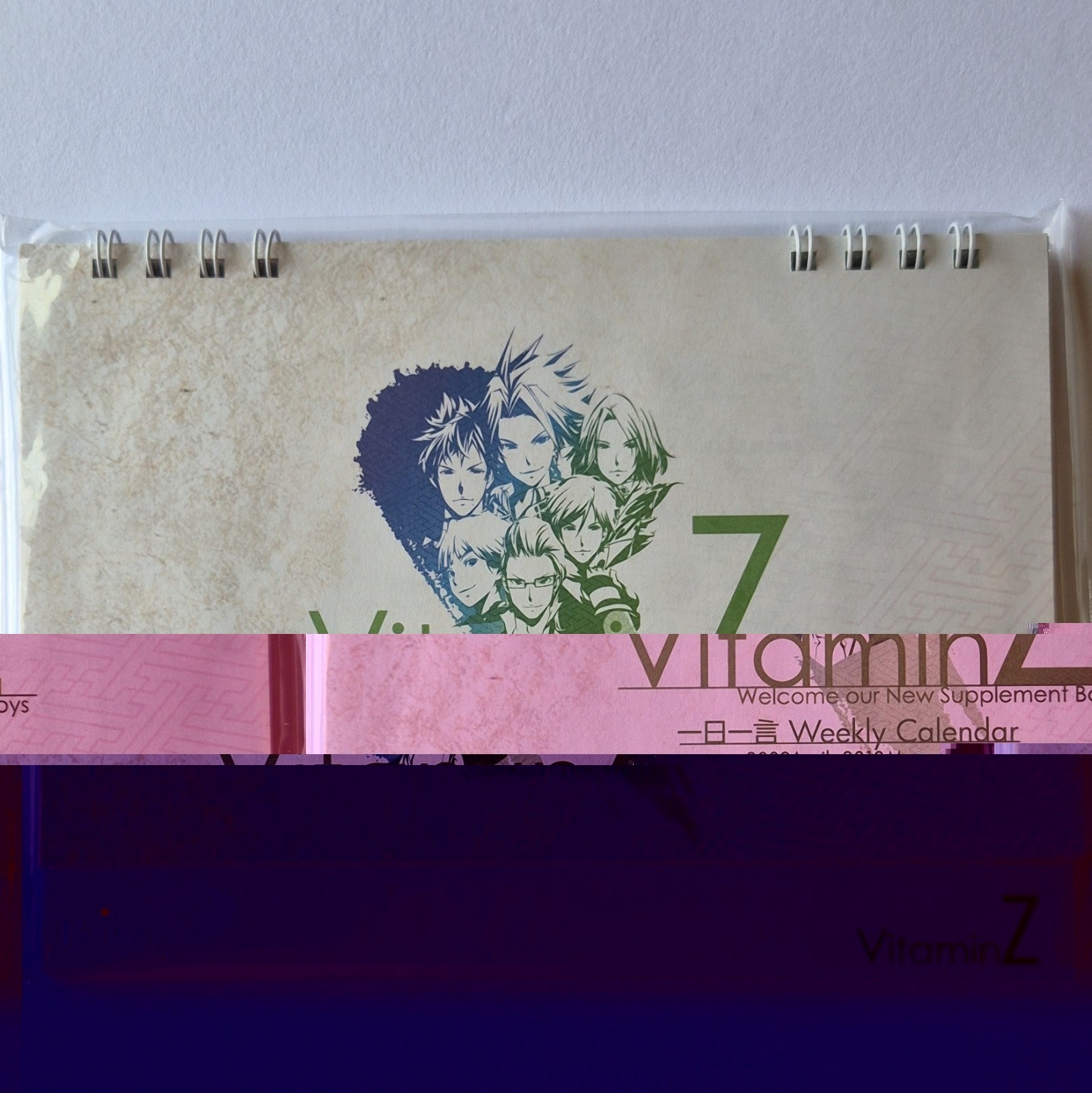 D3PUBLISHER VitaminZ PS2 NTSC-J (Japan) Visual Novel Dating Sim 2009 Manual