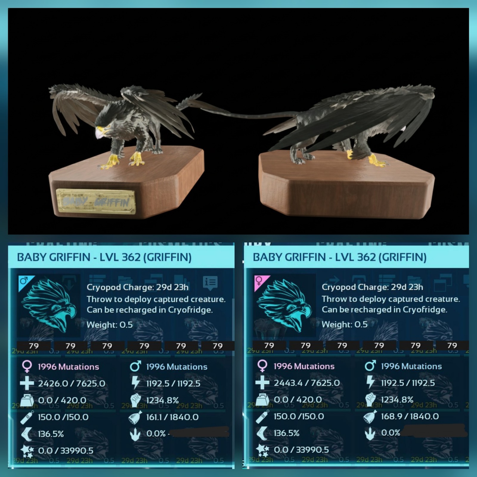 GRIFFIN TOP STATUS BLACK ID79 BABY PAIR ARK ASCENDED PVE OFFICIAL PC/XBOX/PS5