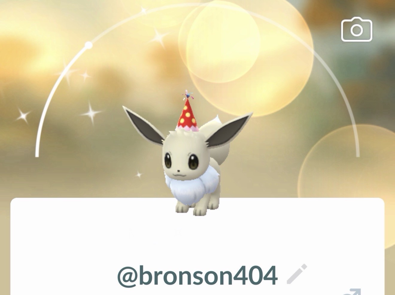 Shiny Eevee Party Hat – Pokemon Unregistered G0