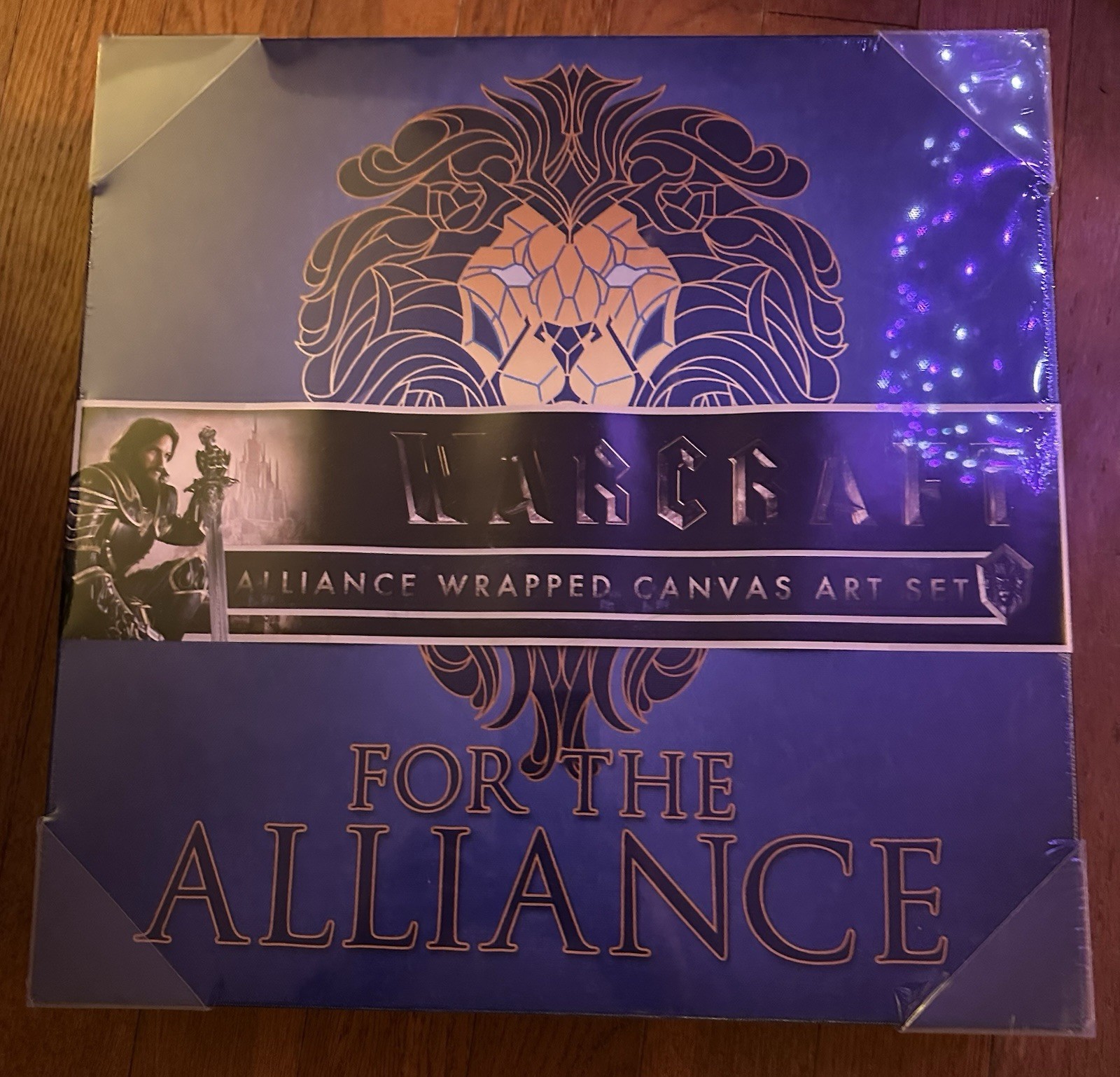Warcraft Movie Alliance Wrapped Canvas Art Set Wow World Of Warcraft – New