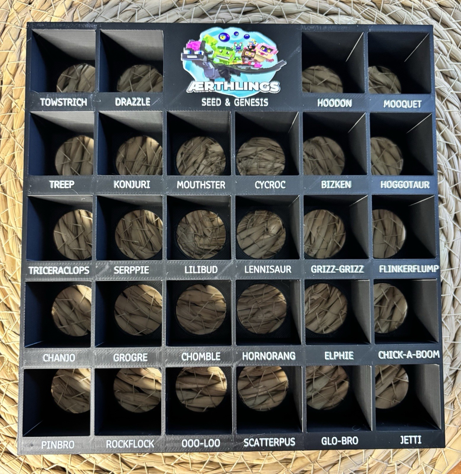 Aerthlings Collector Display Stand and Storage Rack – CHARACTERS NOT INCLUDED