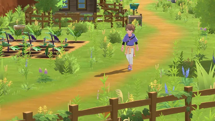 Harvest Moon: Home Sweet Home SE for PS5 – PlayStation 5 – Brand New