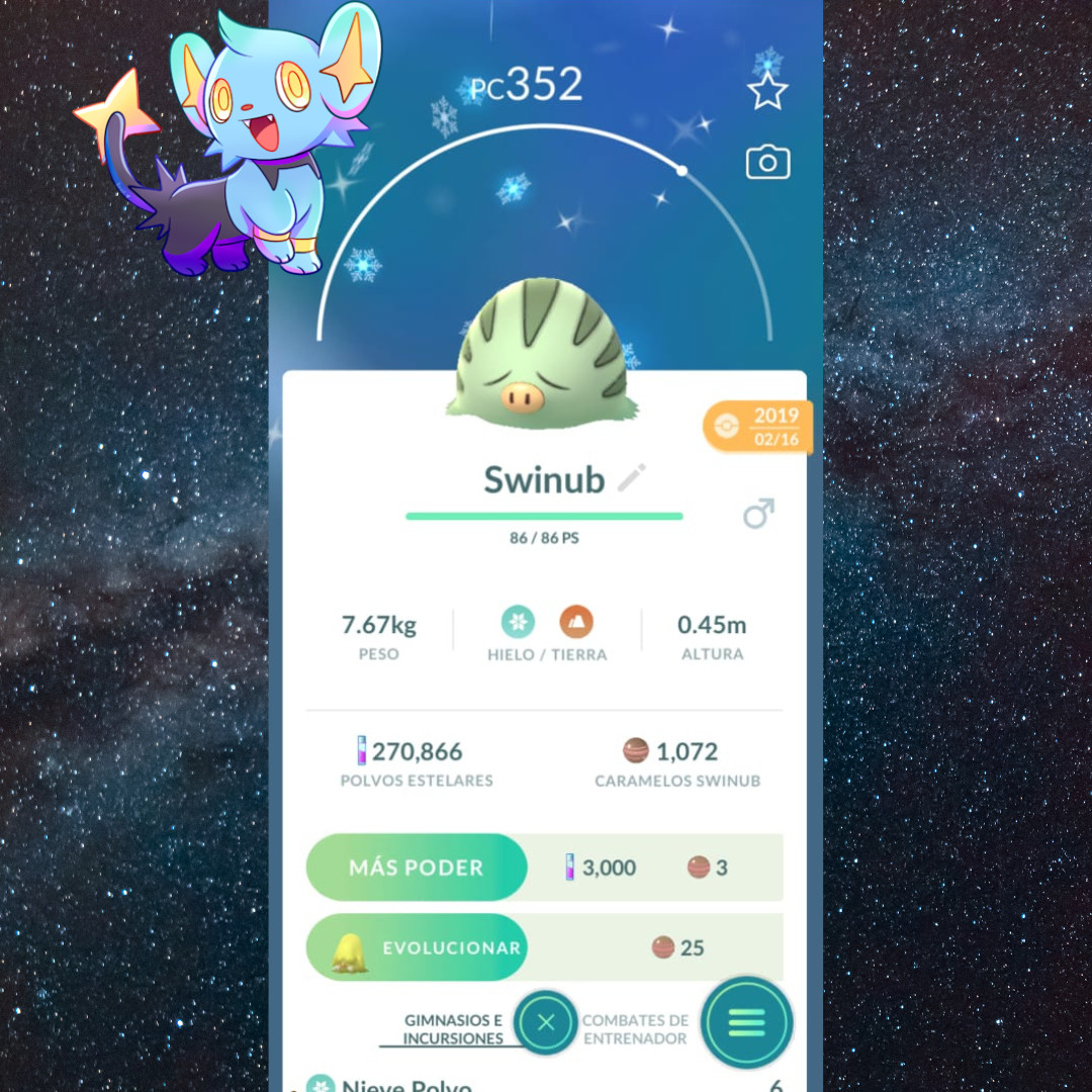 Shiny Swinub ( Caught In 2019 ) | Guaranteed Lucky ✨Pokémon Go Trade ✨