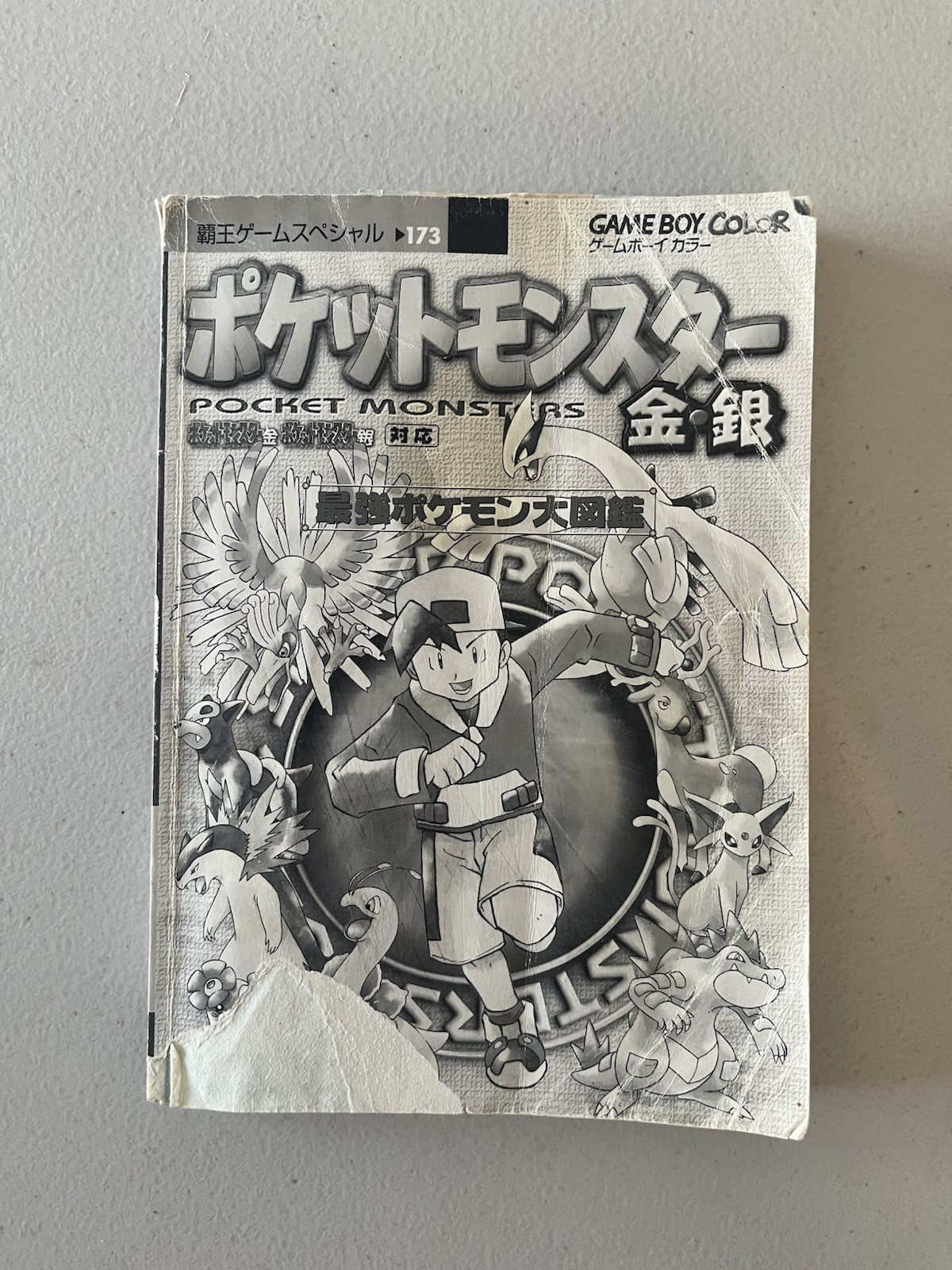Pokémon Gold & Silver Strongest Pokémon Black And White Book In Japanese