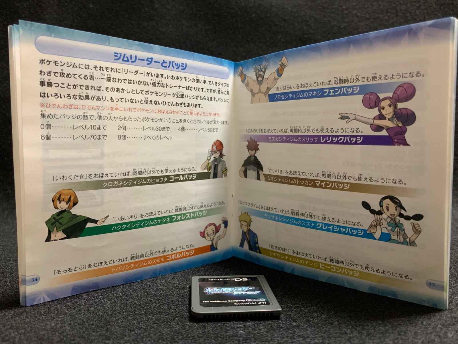 Pokemon Diamond DS Nintendo CIB Tested Complete Authentic NTSC-J Japan