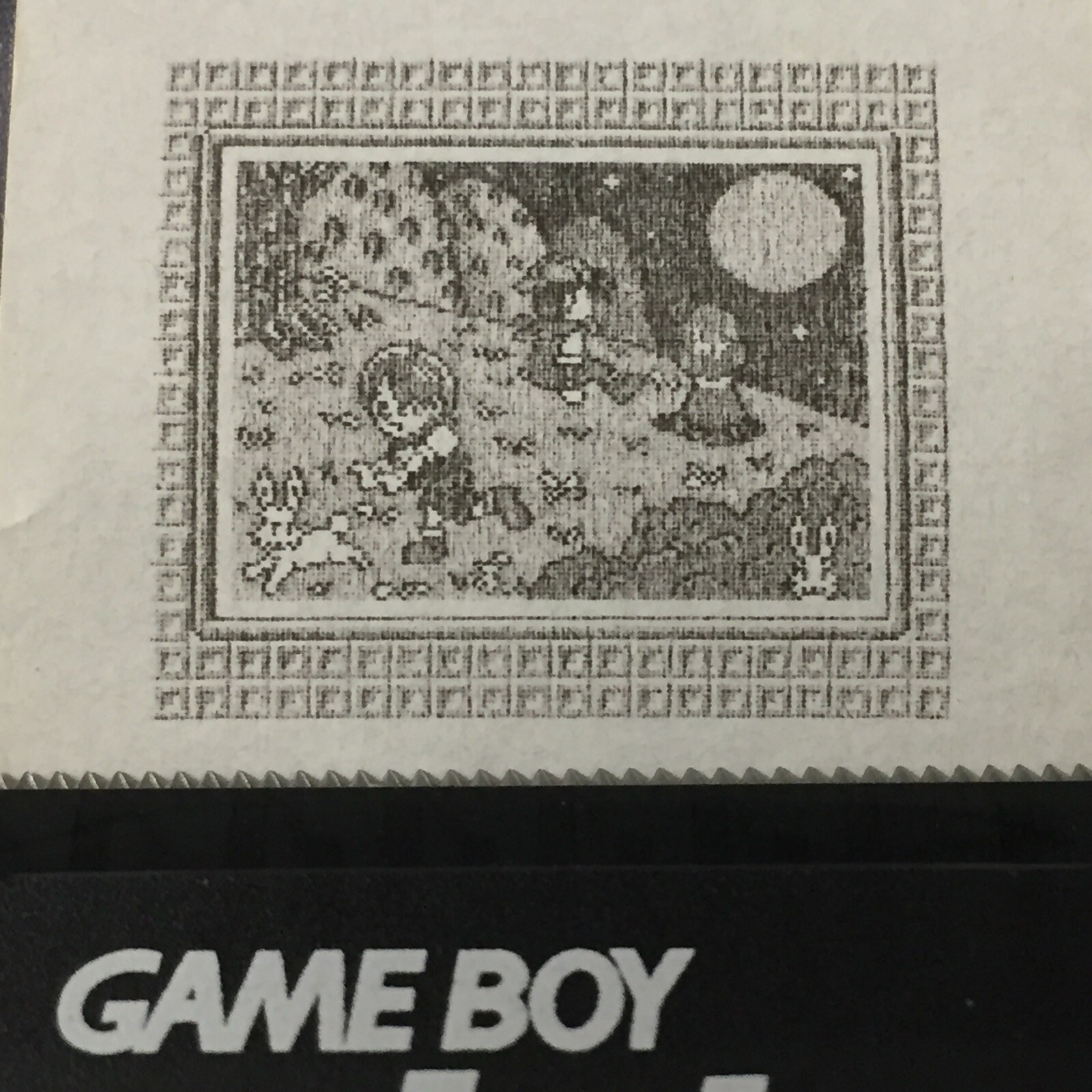 Harvest Moon 2 (GBC) ALL Photos – Game boy Printer Print-outs (64)