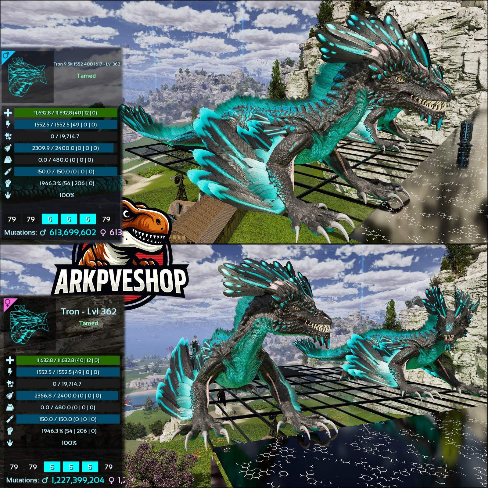 Rock Drake 1946% melee Mix Colours Top Stats ASA PVE 🦖ARK Survival Ascended