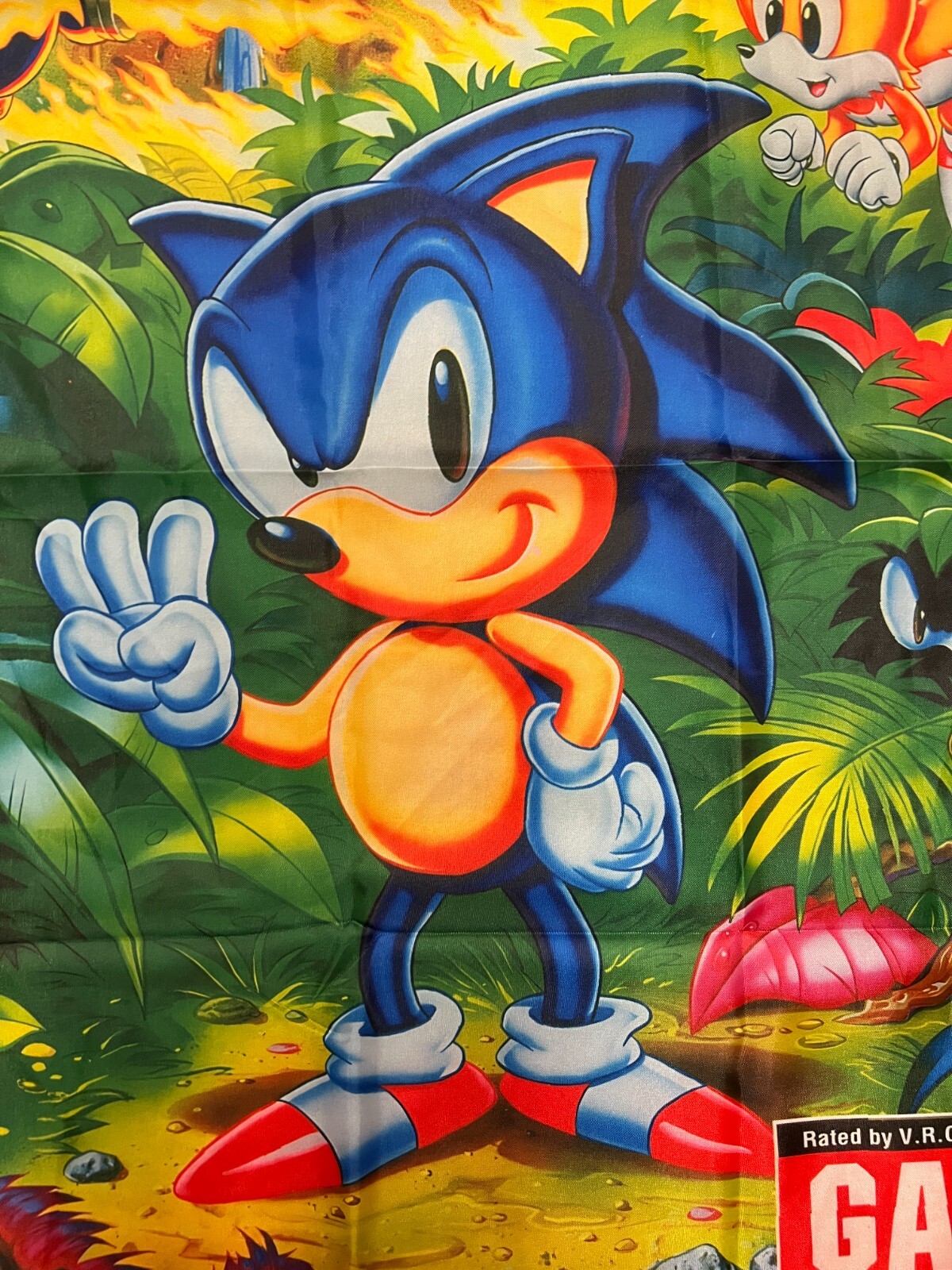 Sonic The Hedgehog 3 Custom Wall Flag Banner Tapestry 2 x 3 Ft, Sega Genesis