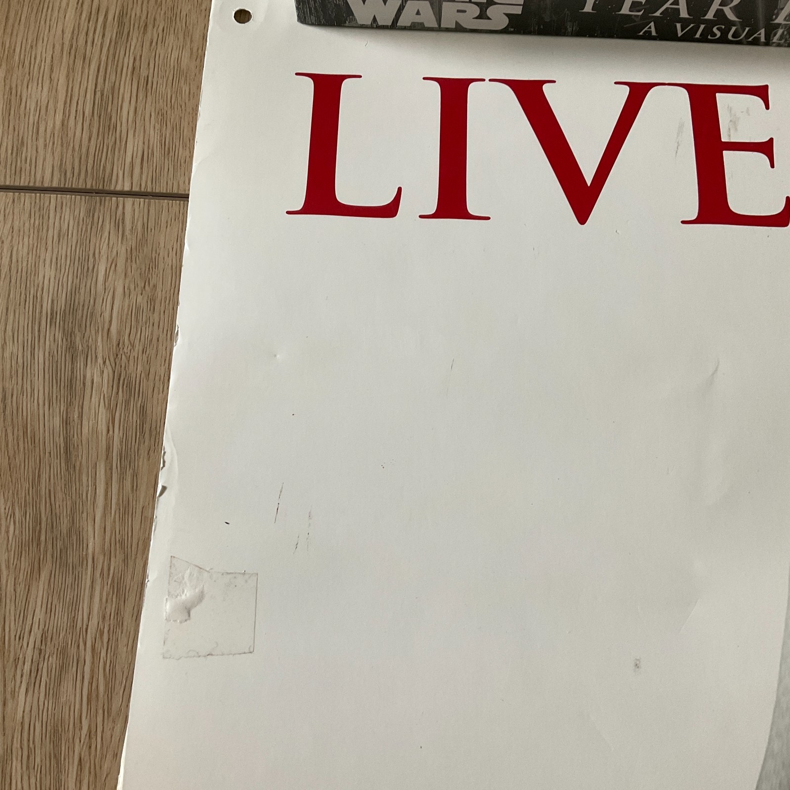 Assassin’s Creed II 2009 HUGE Store Display Sign Video Game Promo 33×48 Banner