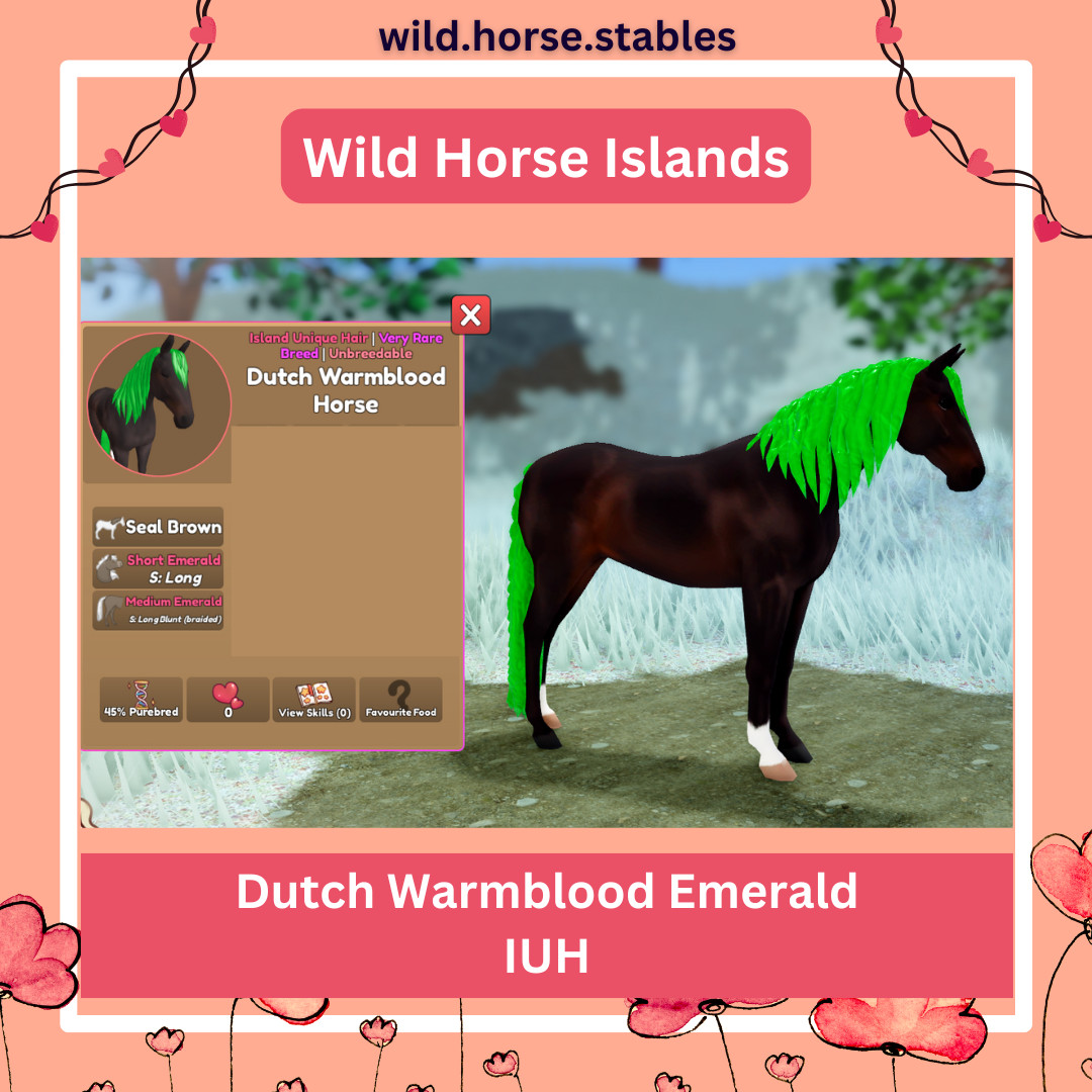 Wild Horse Islands – Dutch Warmblood Island Unique Hairs / IUH