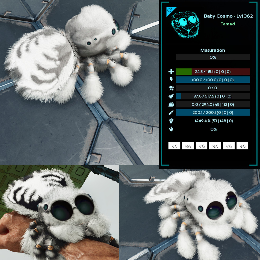 ARK Survival Ascended Albino Cosmo TOP STATS – PVE Official
