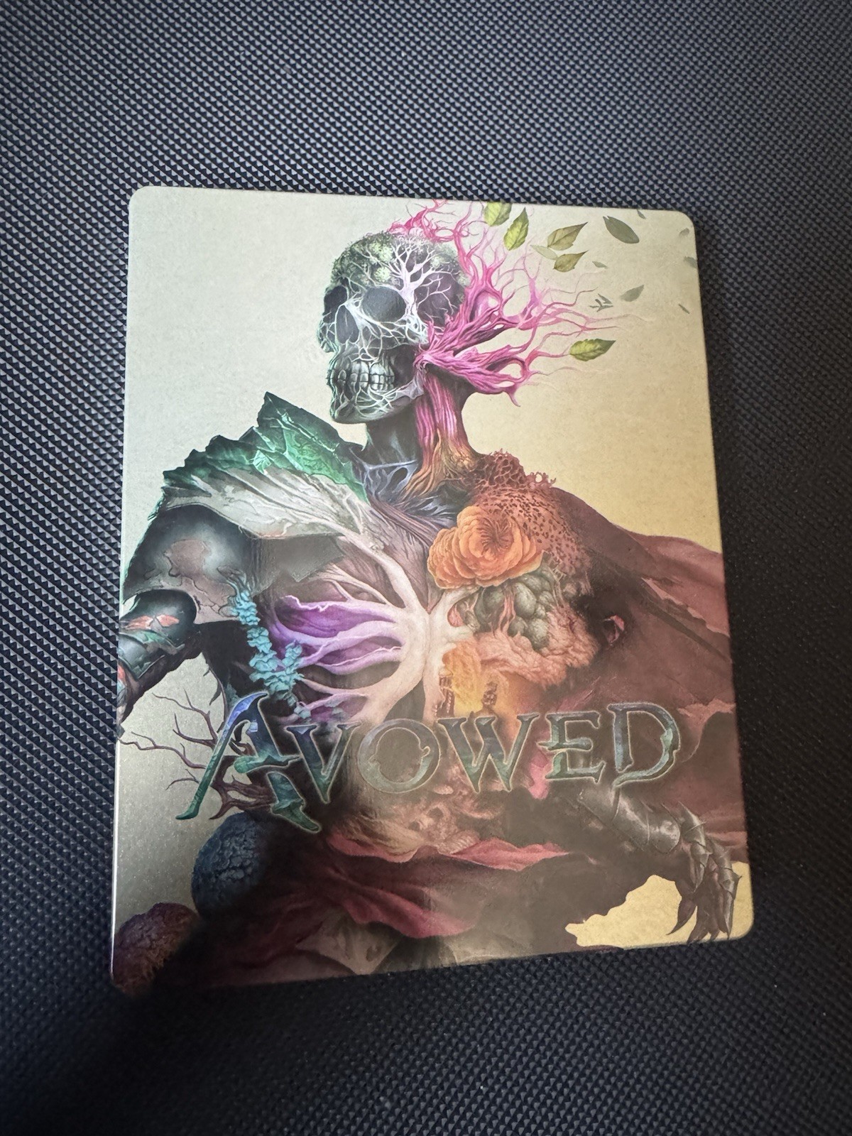 Avowed – Premium Edition SteelBook Only– Xbox Series X|S