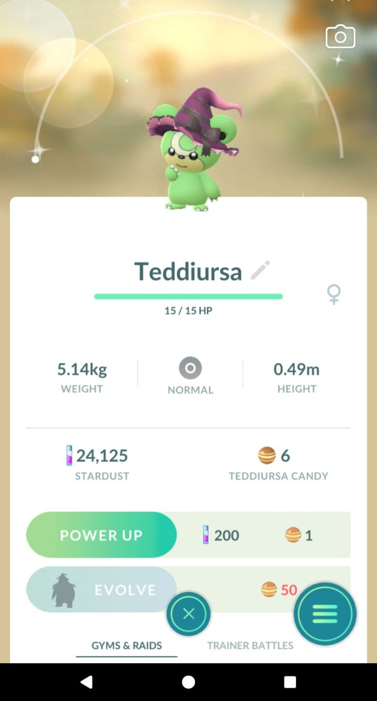 Shiny Teddiursa wearing a witch hat Halloween costume – TRADE 20kStardust
