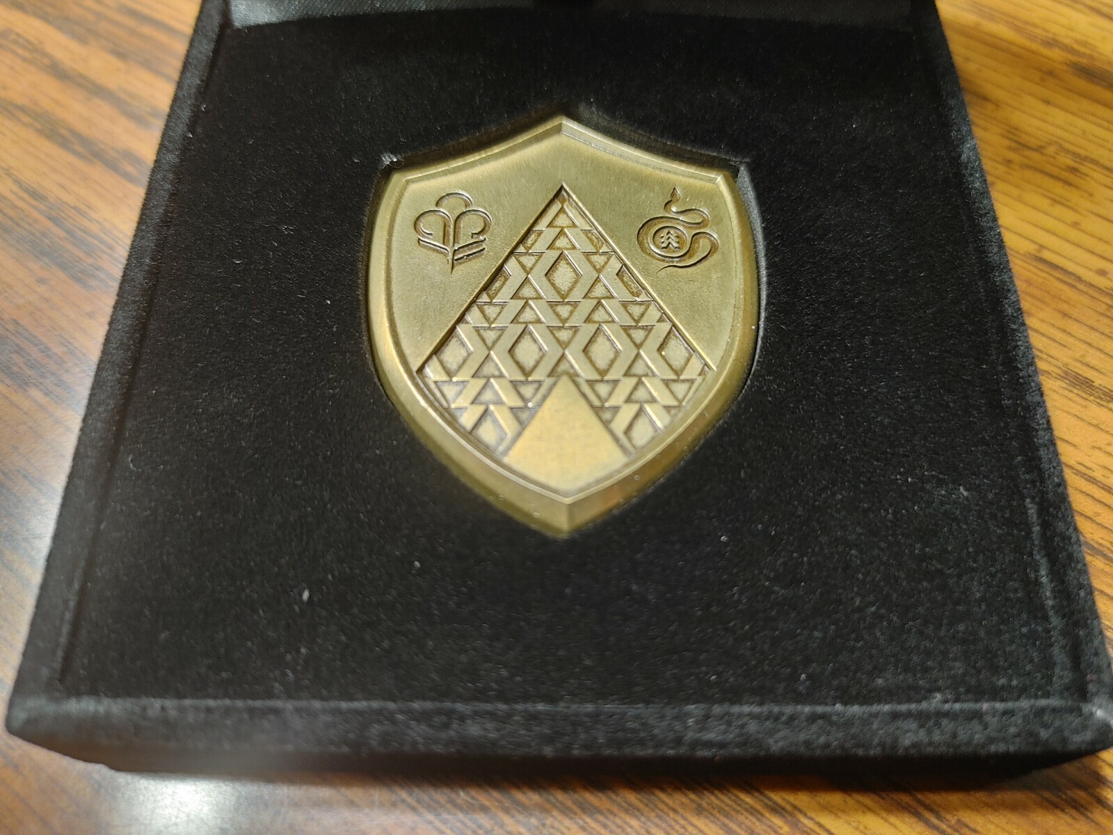Destiny 2 Guardian Games 2021 Hunter Gold Medal Pin WITH Eye of Midnight Emblem