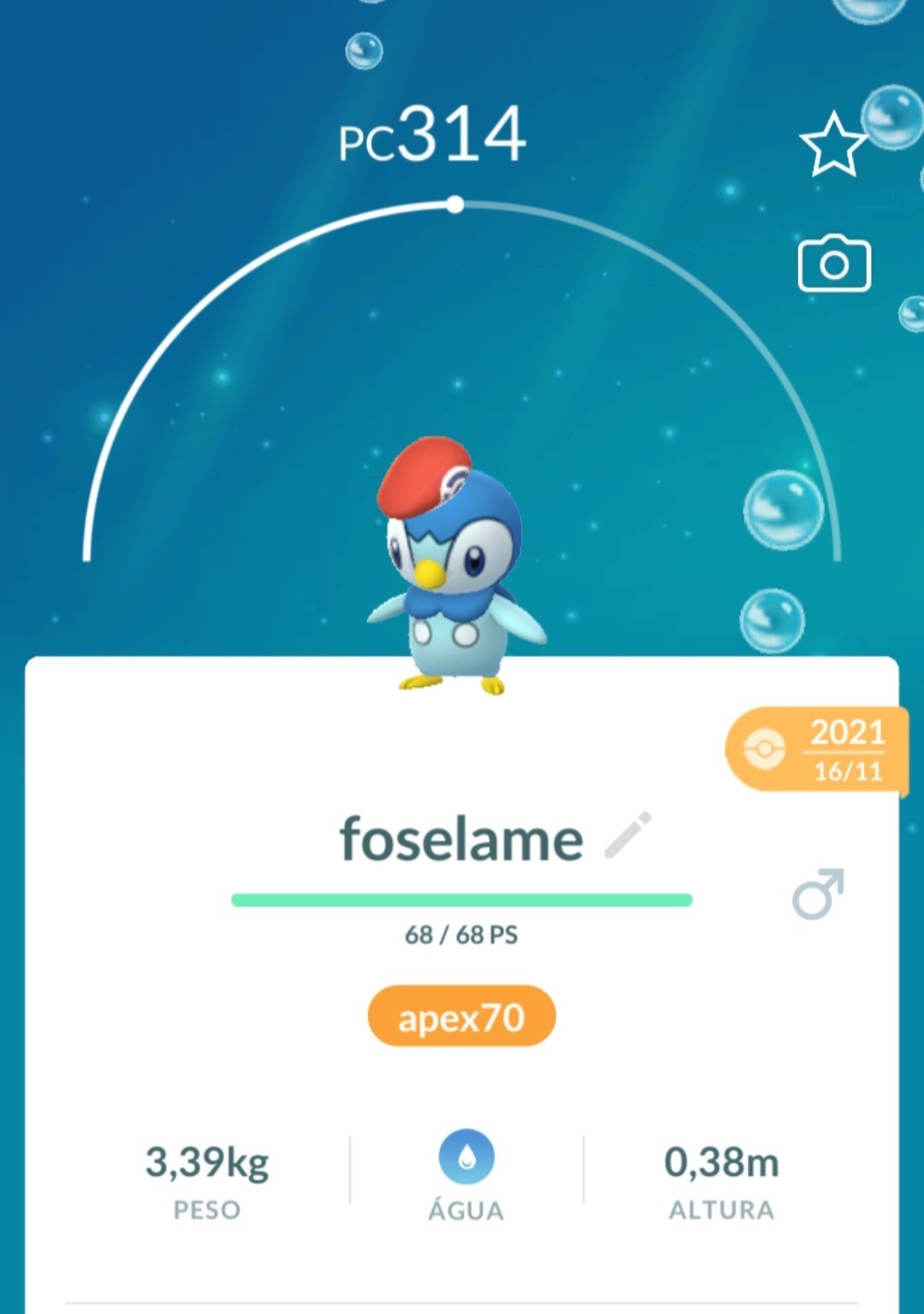 Pokémon Piplup Lucas Hat Go