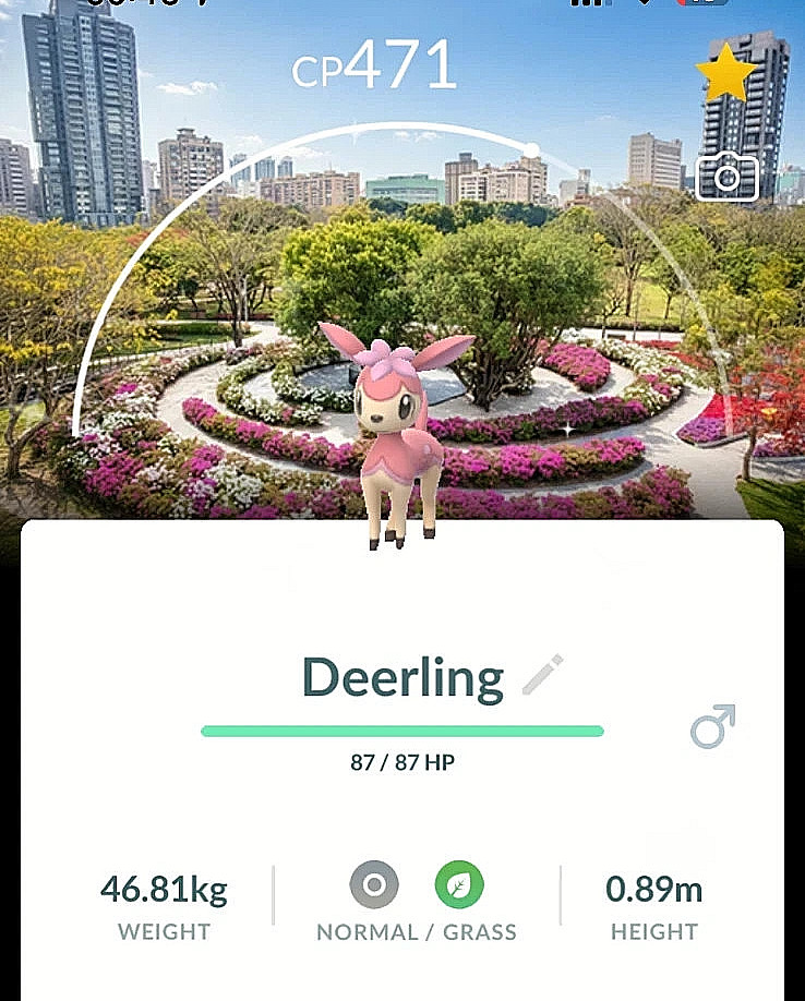 ✨Shiny Deerling Background Taipei Taiwan✨- PTC – Description