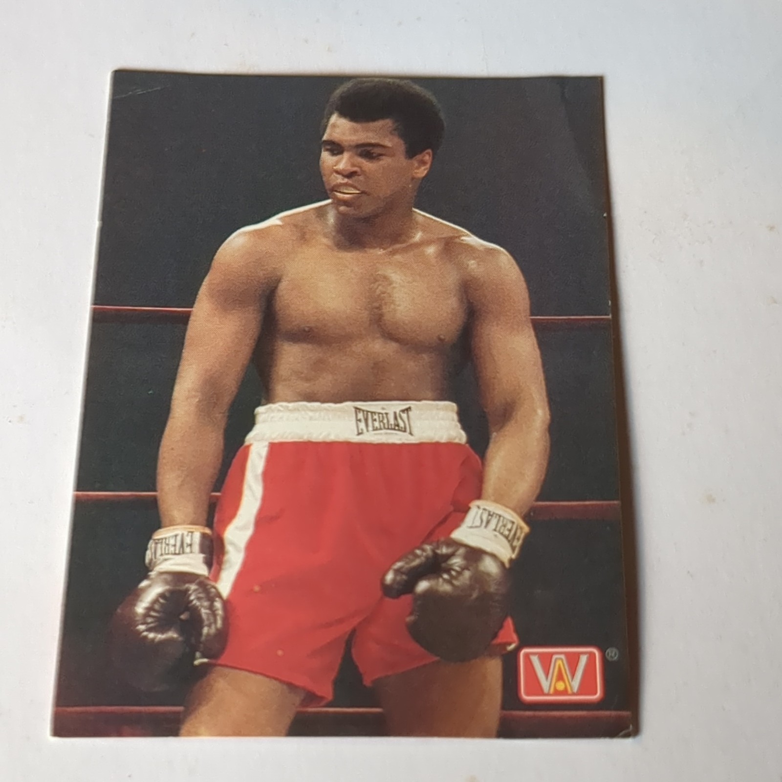 Virgin Games Muhammad Ali Heavyweight Boxing CIB + Sports Card Insert Genesis