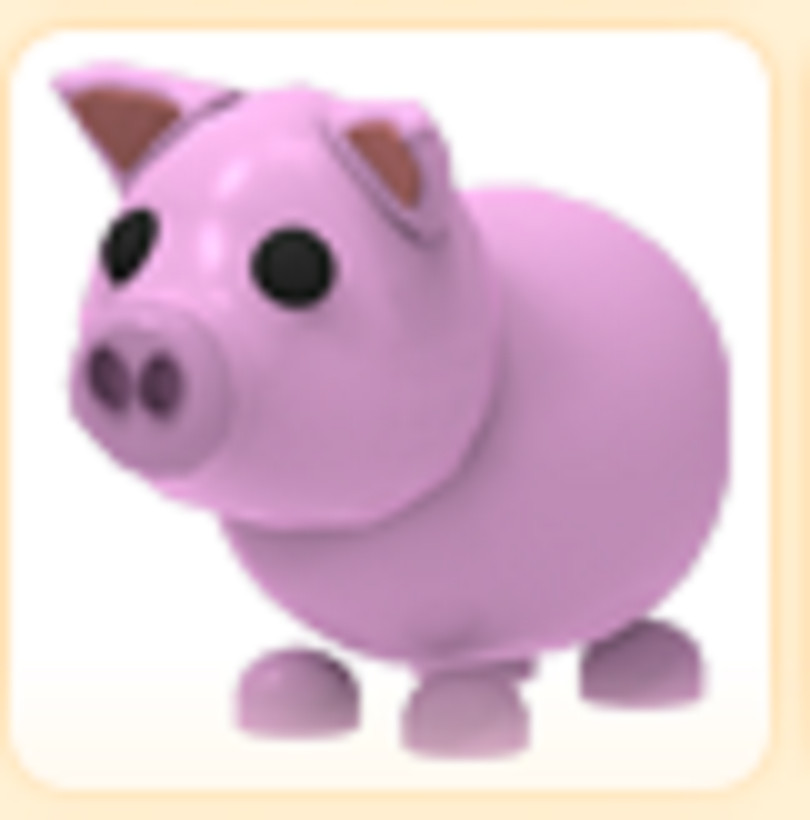 Normal Pig – Cheap & Trusted Store!!
