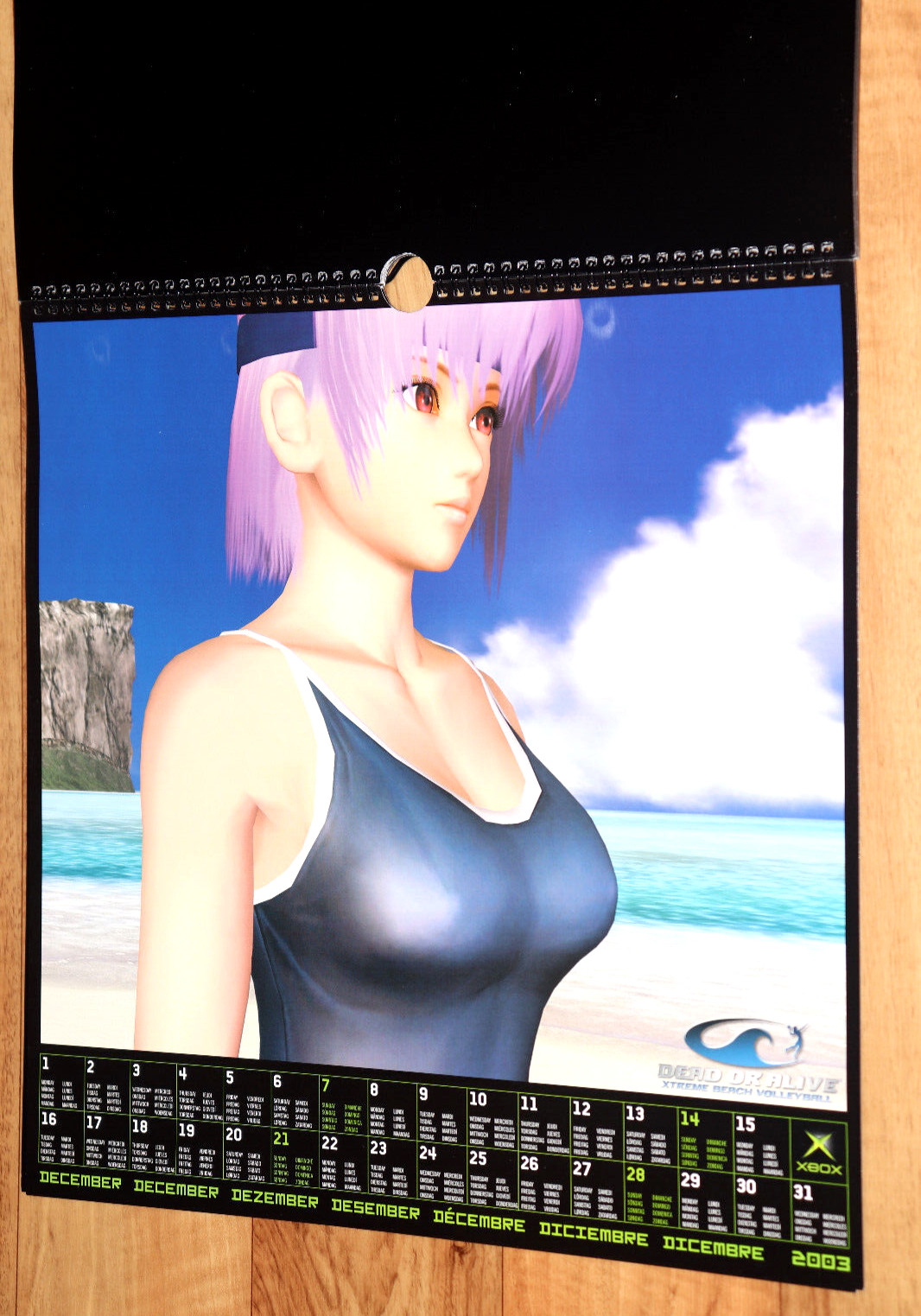 2003 Dead or Alive Xtreme Beach Volleyball Very Rare Calendar Collectible