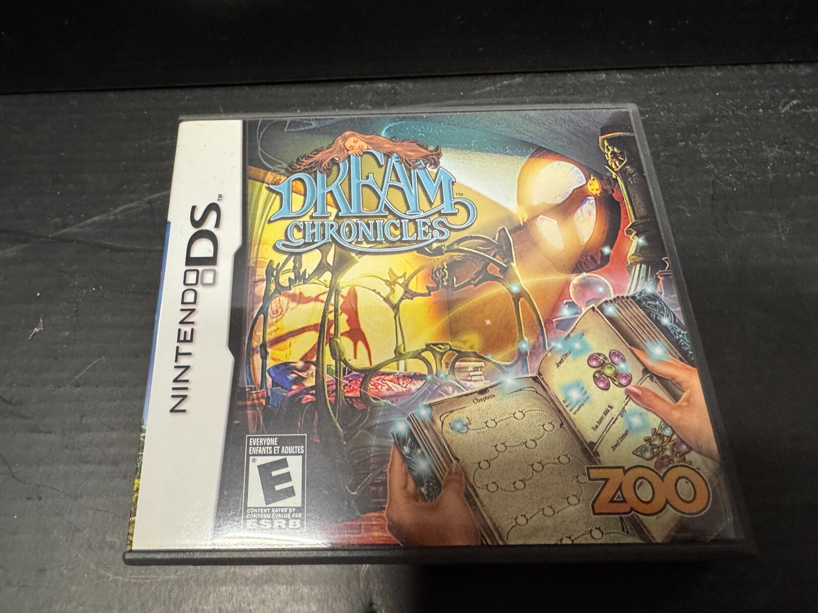 Dream Chronicles (Nintendo DS, 2010)