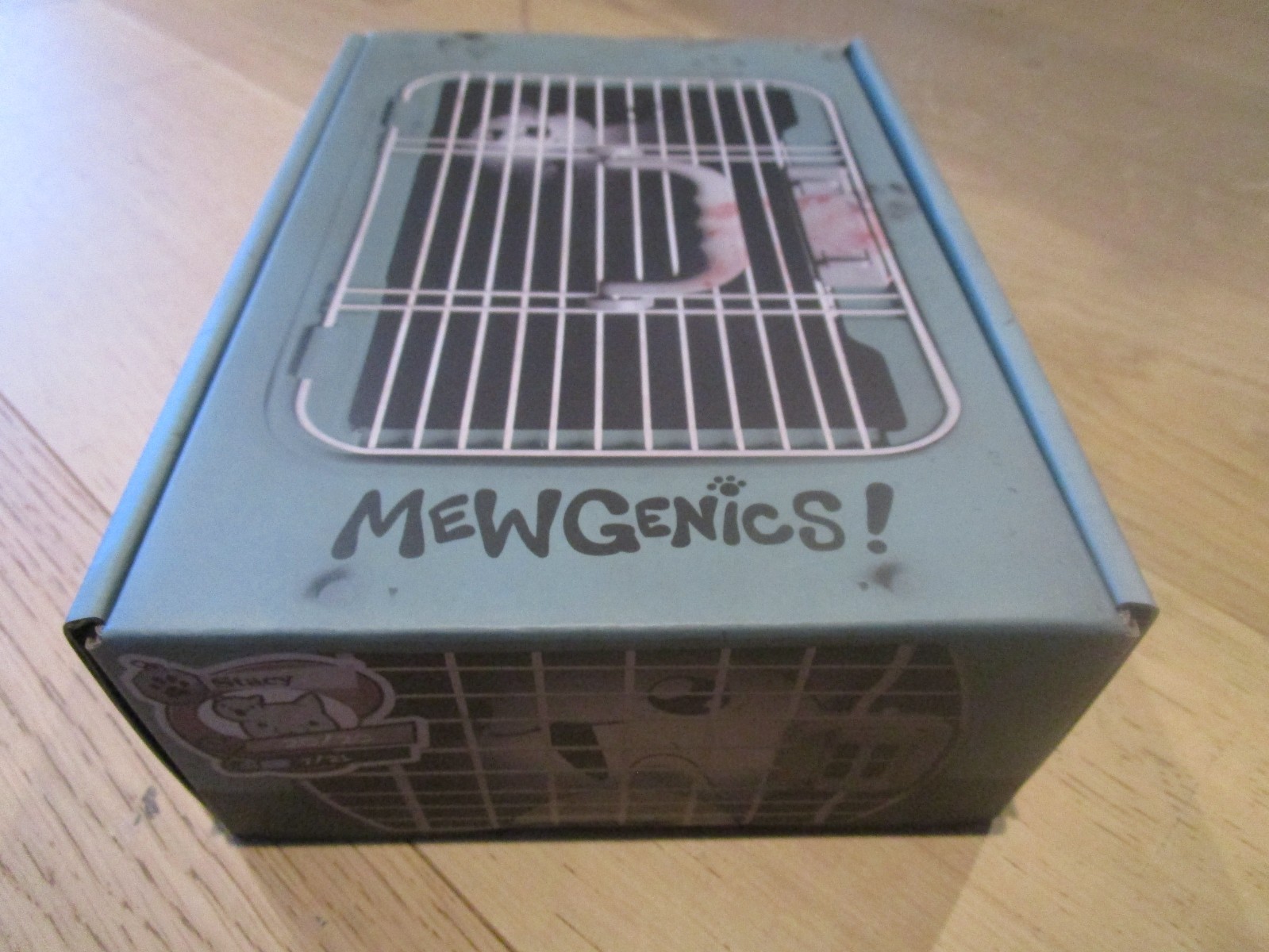 NEW Mewgenics Collectible Cat Carrier 2nd Edition Binding of Isaac Four Souls
