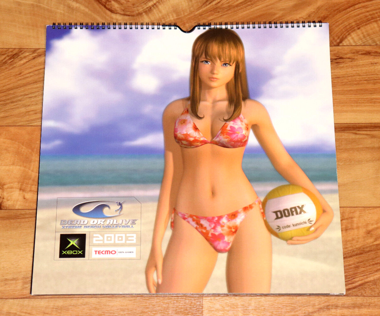 2003 Dead or Alive Xtreme Beach Volleyball Very Rare Calendar Collectible