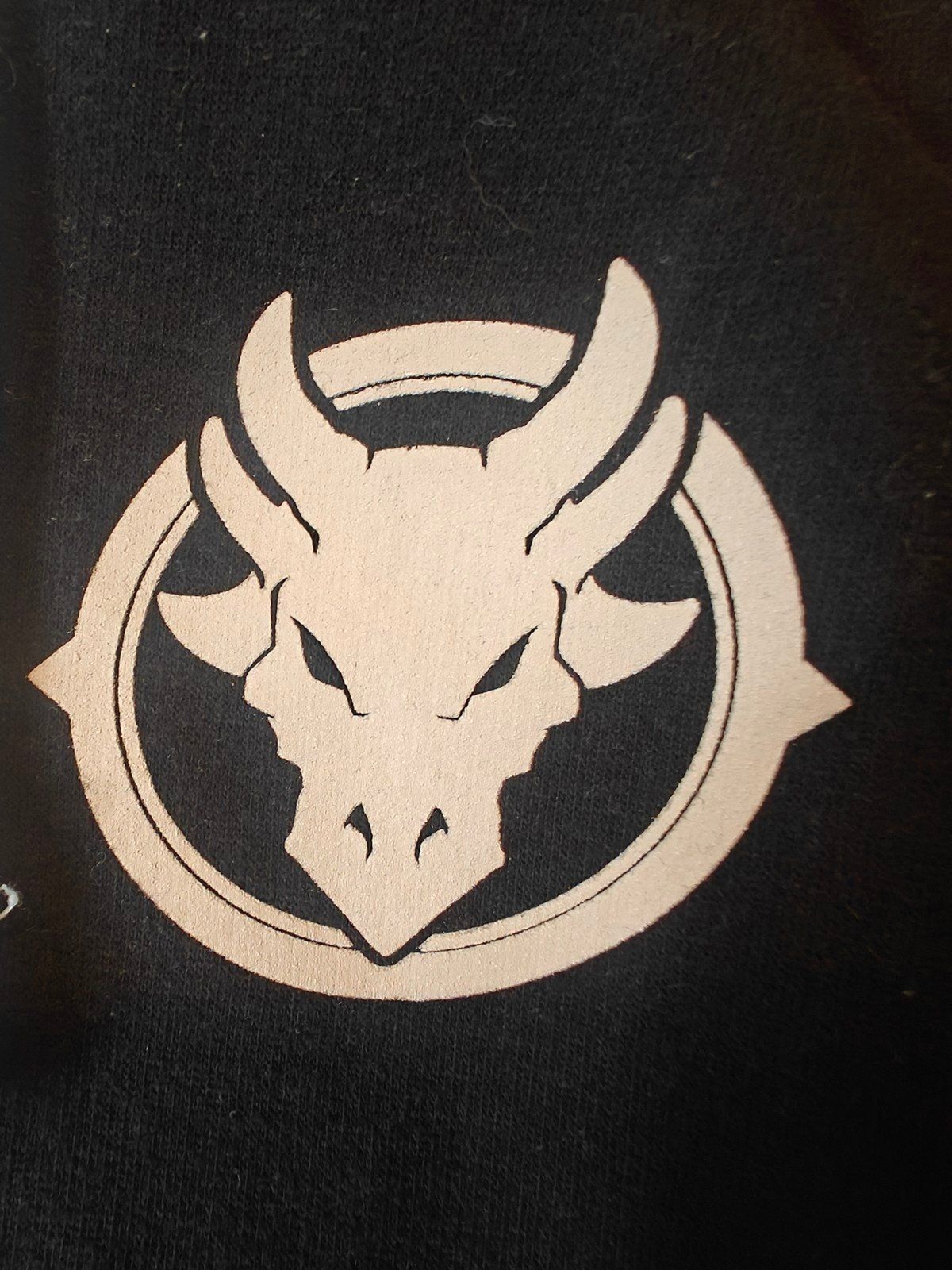RuneScape Runefest 2025 Exclusive Official Hoodie Adult Medium OSRS Jagex