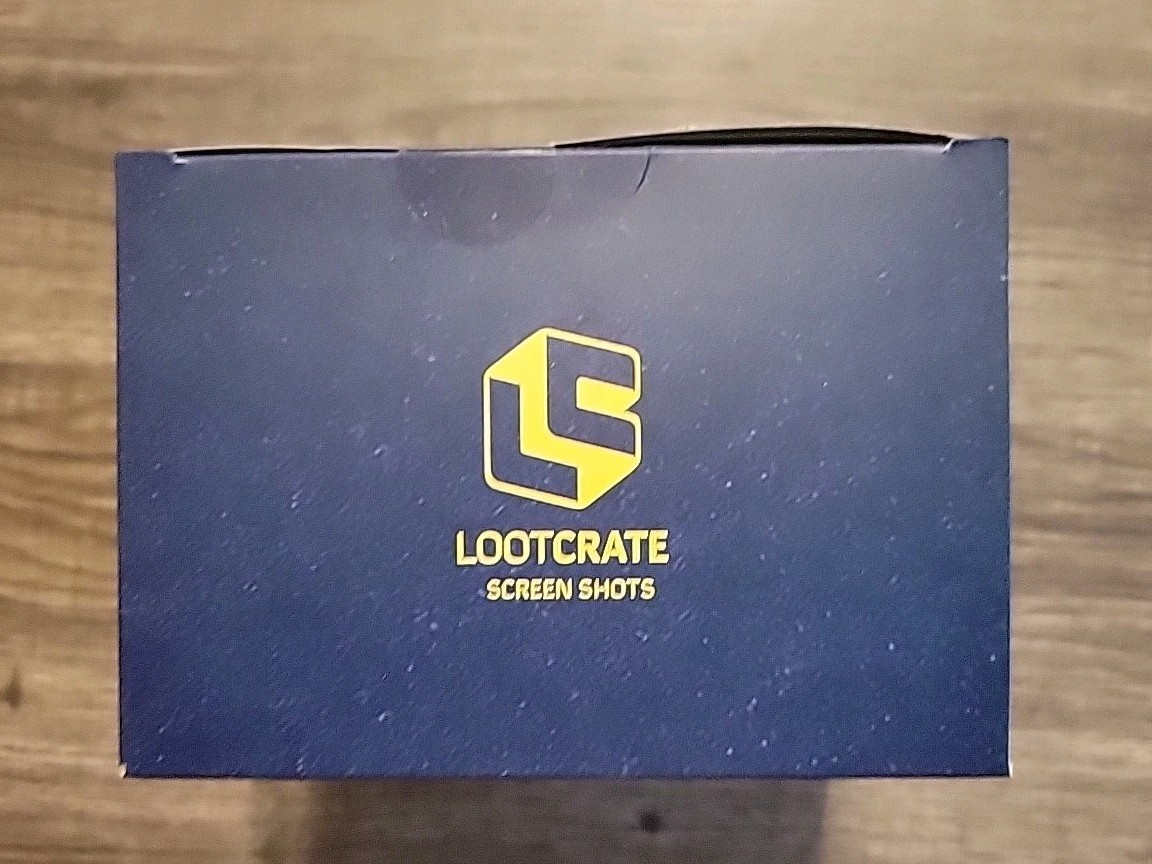 Fallout – Nick Valentine – LootCrate Exclusive Screen Shots Figure