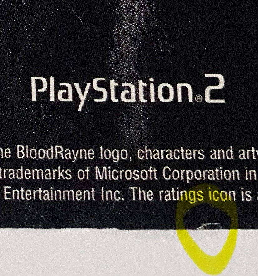 BloodRayne PS2 PlayStation Xbox Video Game Promo Poster 2000s Rare Print Ad