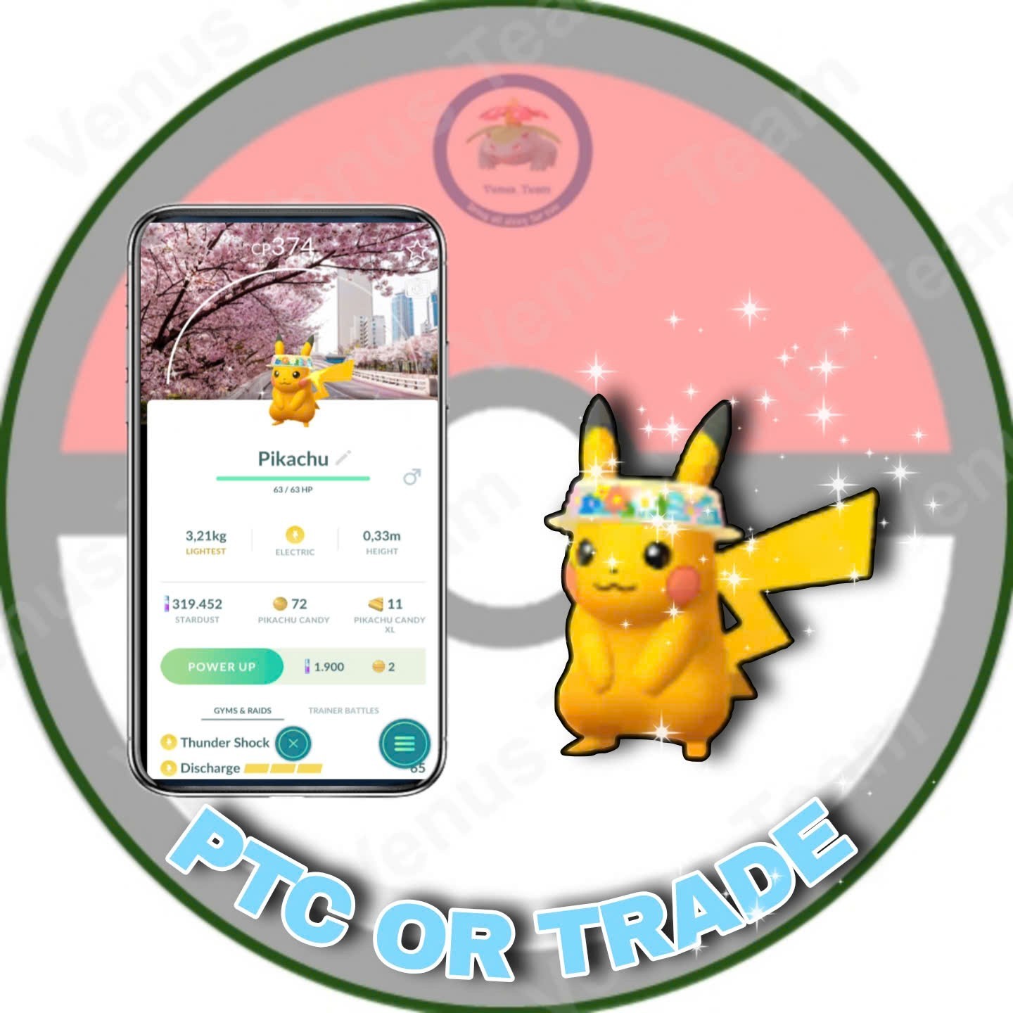 Pokémon Go ✨ Shiny Pikachu Flower Hat Background Spring Blossom ✨ P T C 20k Dust