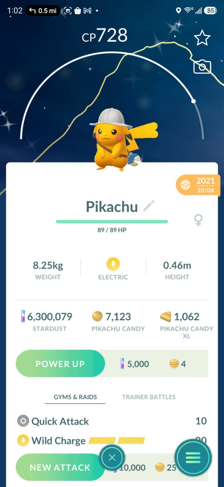 Shiny Pikachu With Adventure Jungle Explorer Hat – Pokemon Go