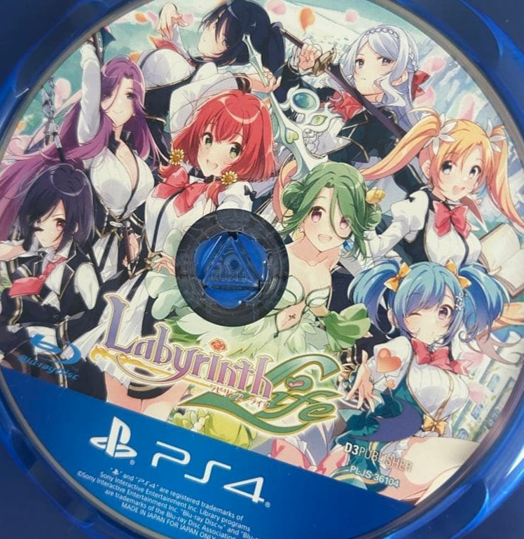 Labyrinth Life PlayStation4 PS4 Japanese ver D3 Used Tested Disc Only