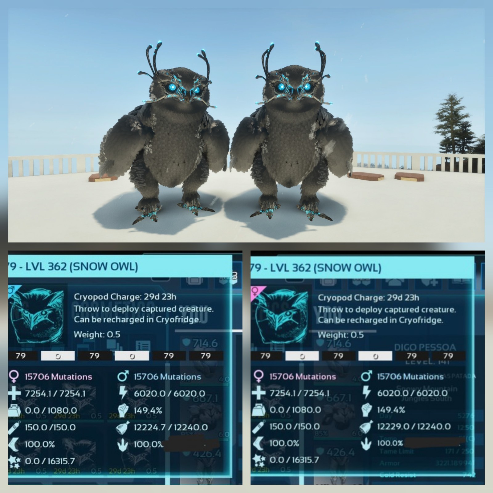 SNOW BLACK ID79 ADULT 100% IMPRINT PAIR TOP STATUS ARK ASCENDED PVE PC/XBOX/PS5