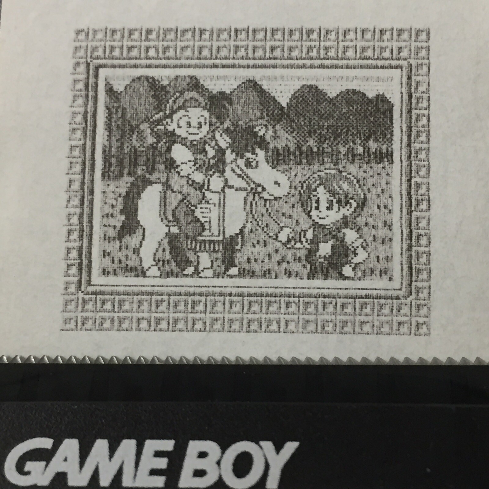 Harvest Moon 2 (GBC) ALL Photos – Game boy Printer Print-outs (64)