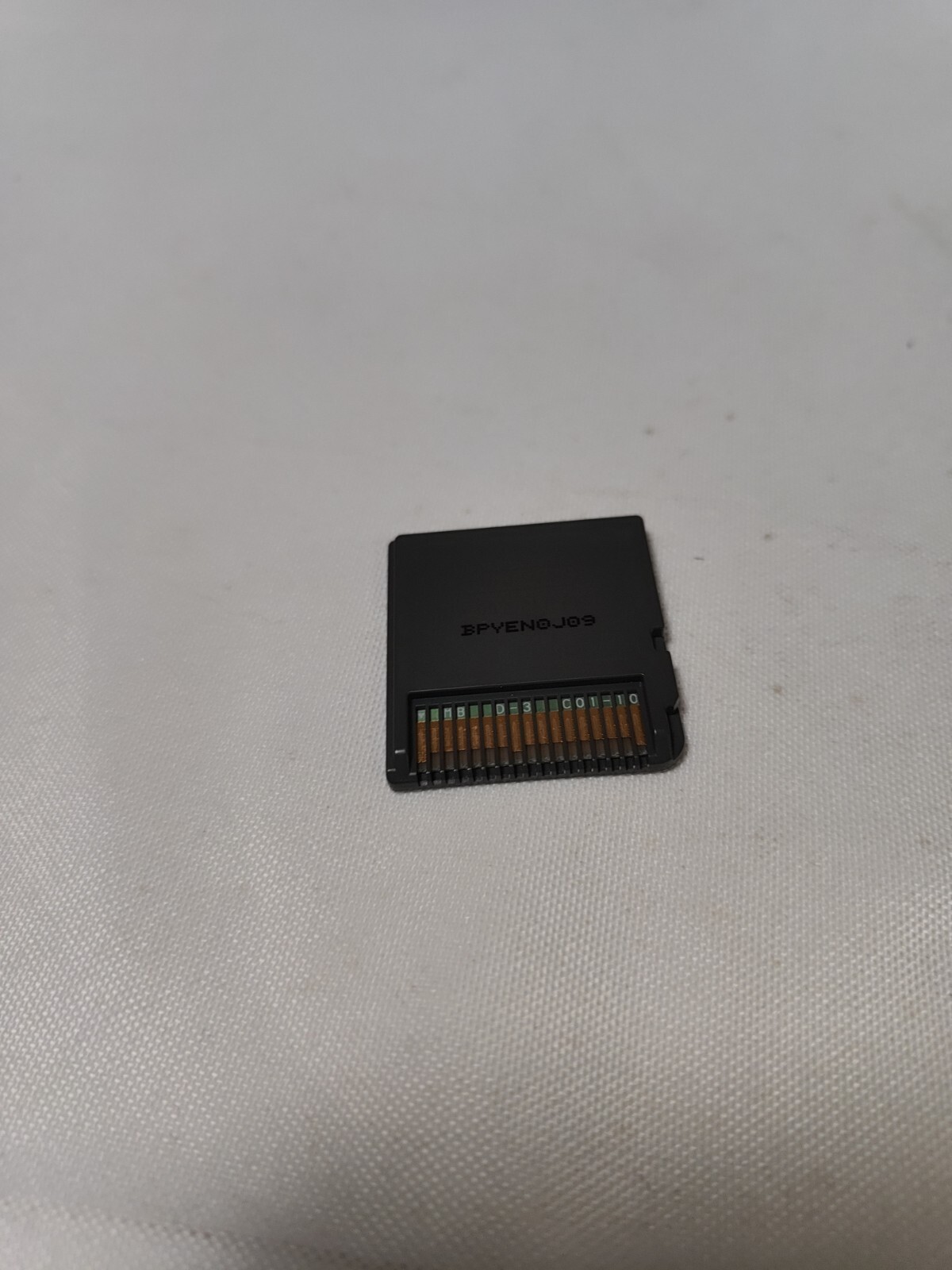 Let’s Play Garden (Nintendo DS, 2010)
