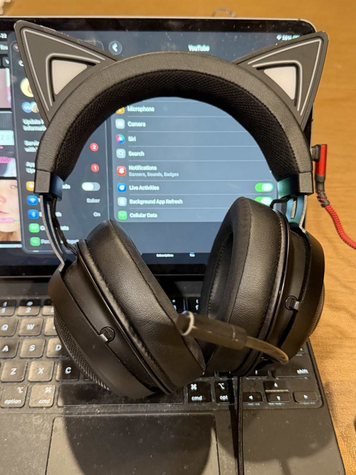 Razor Kraken Kitty V1 RGB USB Headset THX 7.1Surround in Camarillo Ca 93010