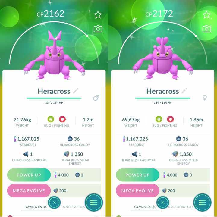 Pokemon Shiny Heracross (M or F) – TRA’DE 20k Or 1 Mill Dust GO – Description