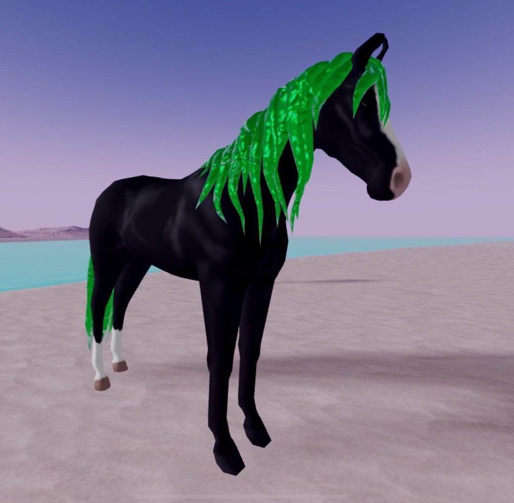 Wild Horse Islands 🌸 IUH Emerald Black Marwari 🌸