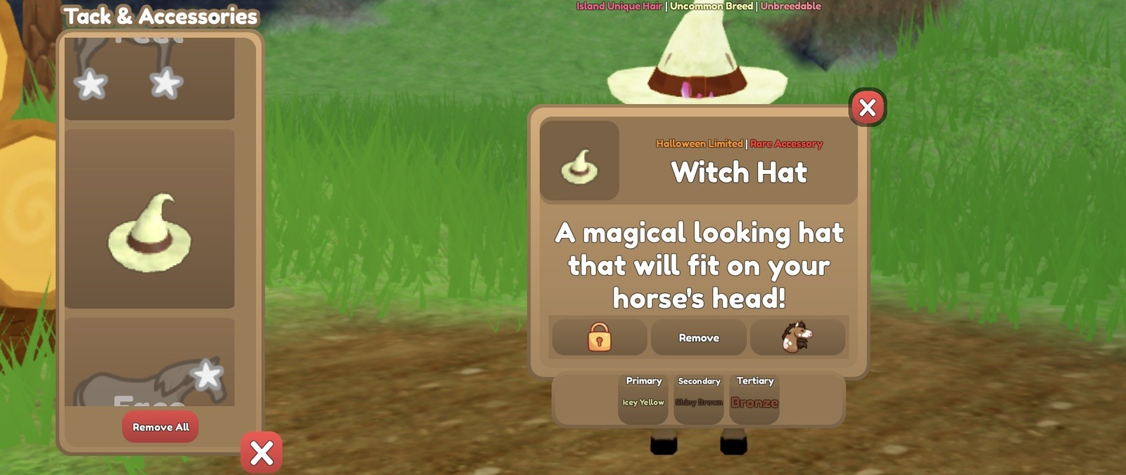 Wild Horse Islands Witch Hats | Please Read Description