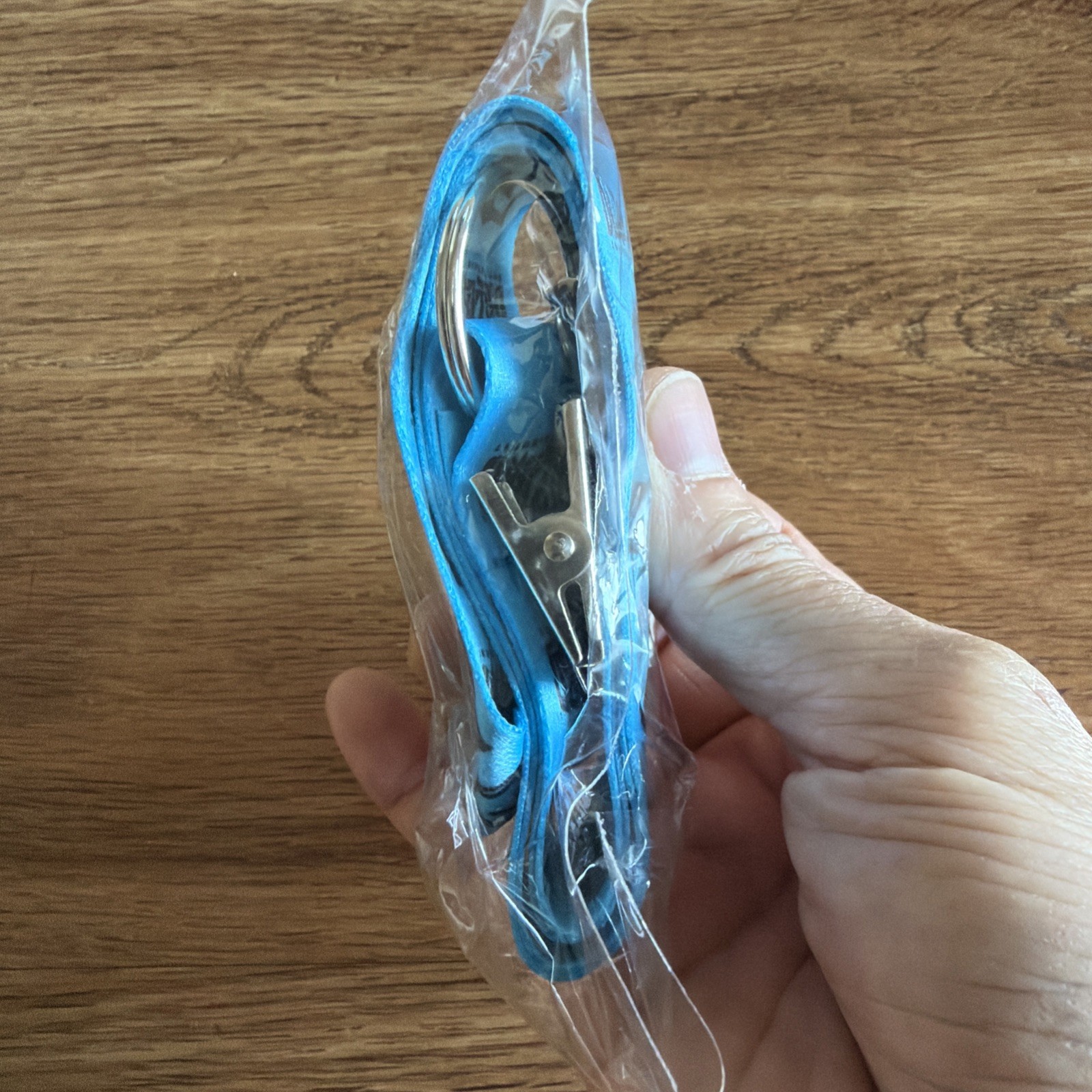 Blizzard Lanyard-New And Sealed