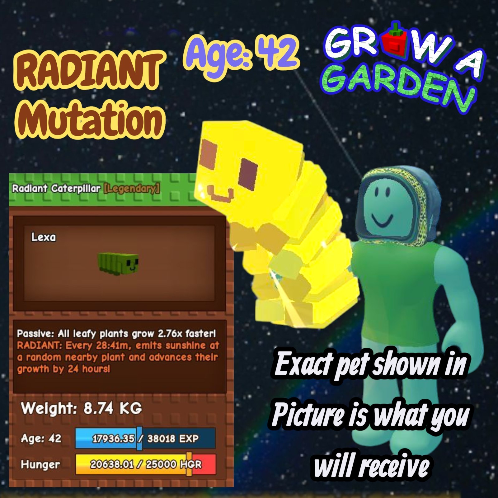 RADIANT Caterpillar. Age/Weight Shown In Photo. Grow A Garden. Same Day