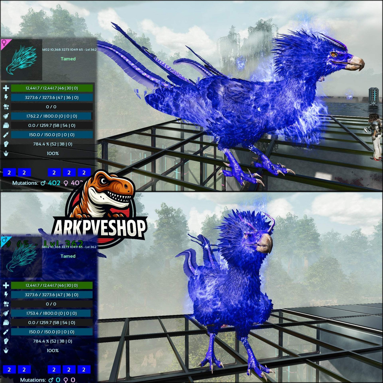 Phoenix Lvl 362 ASA PVE 🦖ARK Survival Ascended