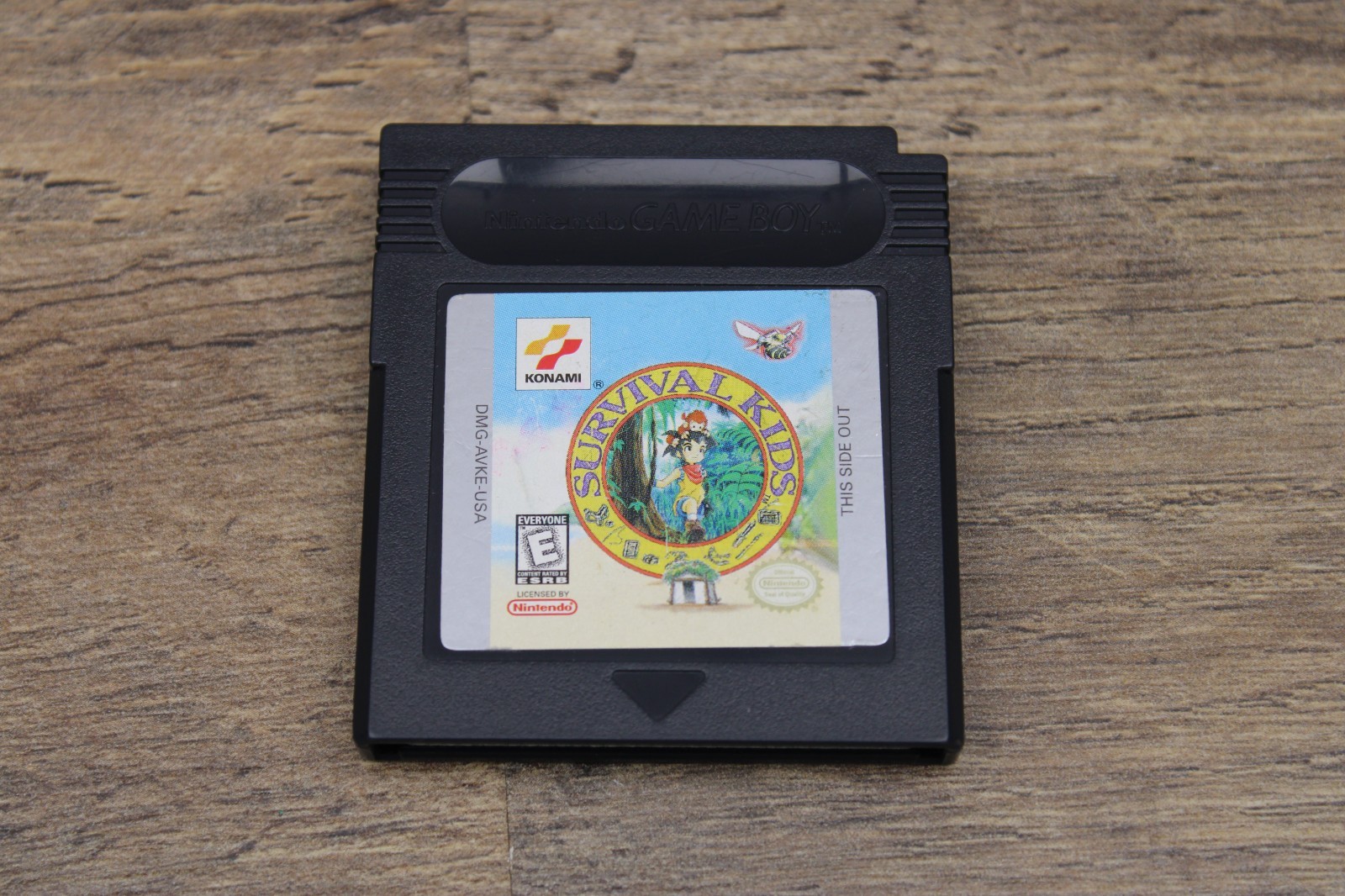 Survival Kids, Gameboy Color GBC, American Version AUTHENTIC GOOD BATTERY