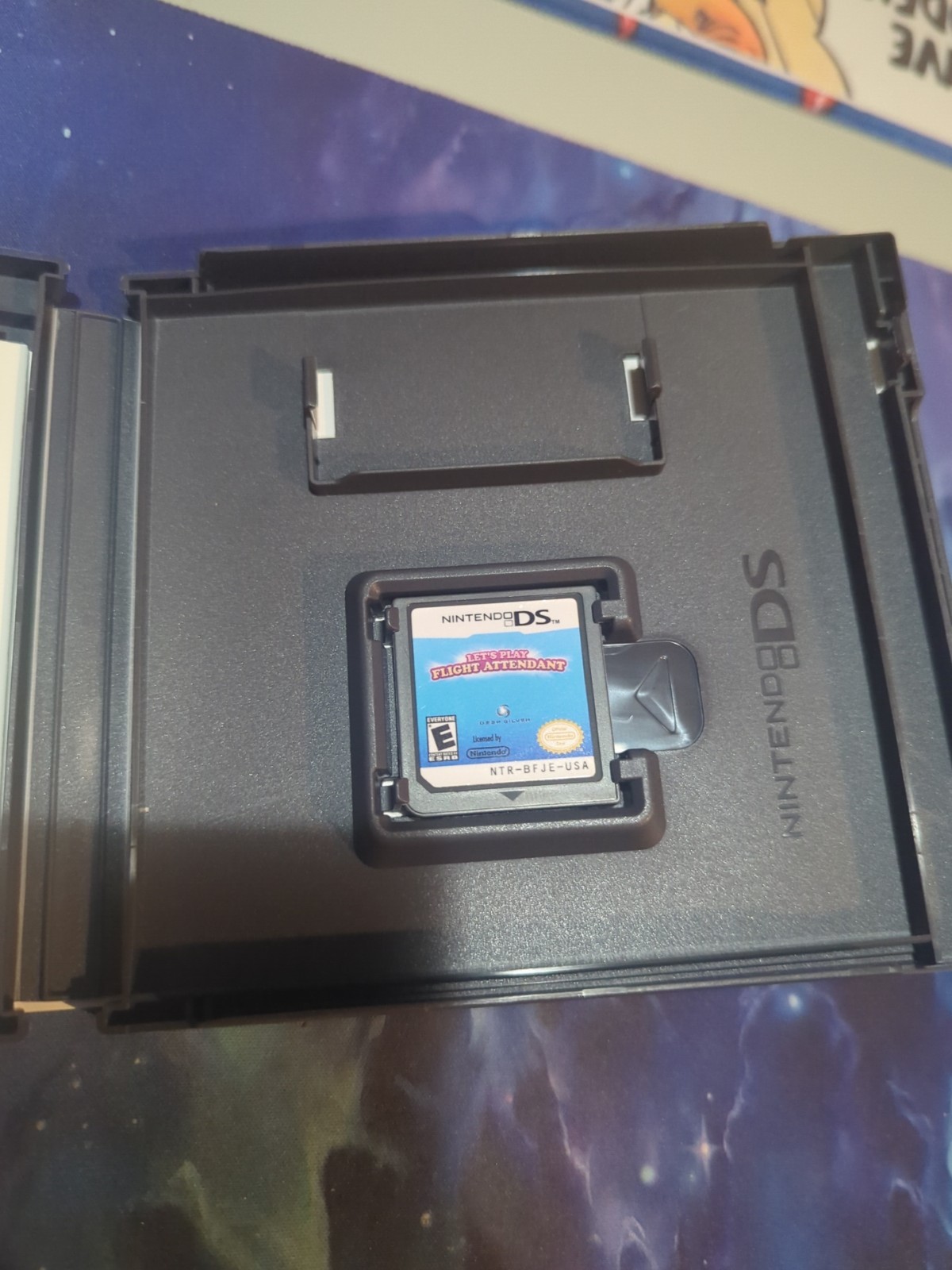 Let’s Play Flight Attendant (Nintendo DS, 2010)