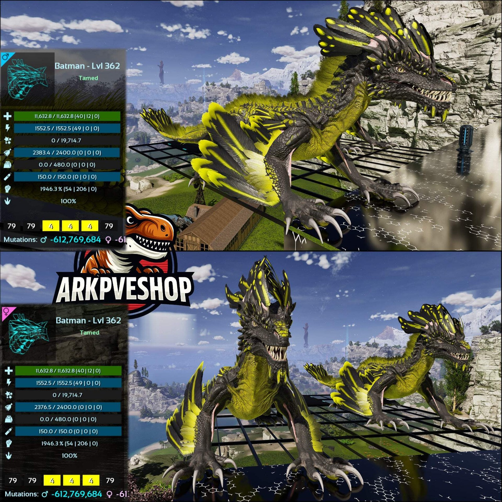 Rock Drake 1946% melee Mix Colours Top Stats ASA PVE 🦖ARK Survival Ascended