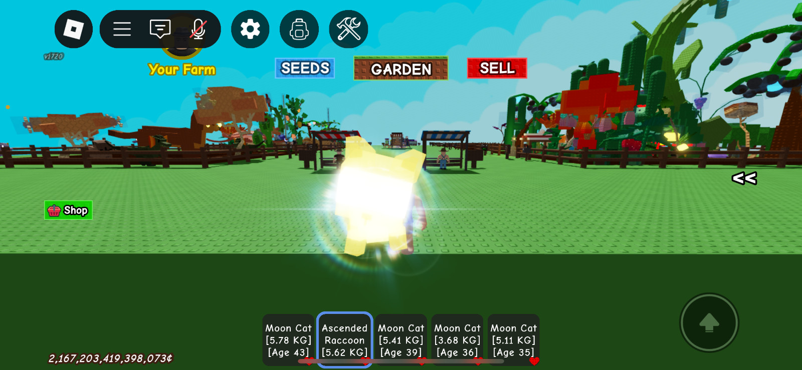 ⚡ ASCENDED RACCON ⚡ Roblox Grow a Garden | PC Digital In-Game Item | Low Price