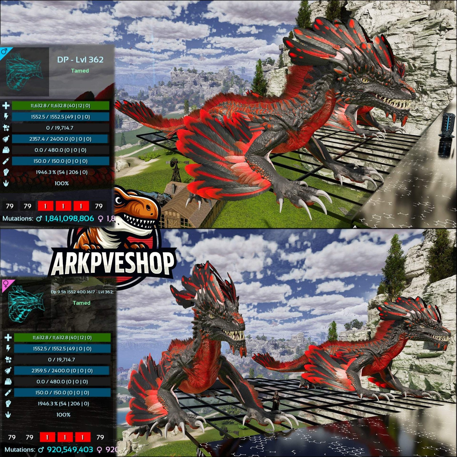 Rock Drake 1946% melee Mix Colours Top Stats ASA PVE 🦖ARK Survival Ascended