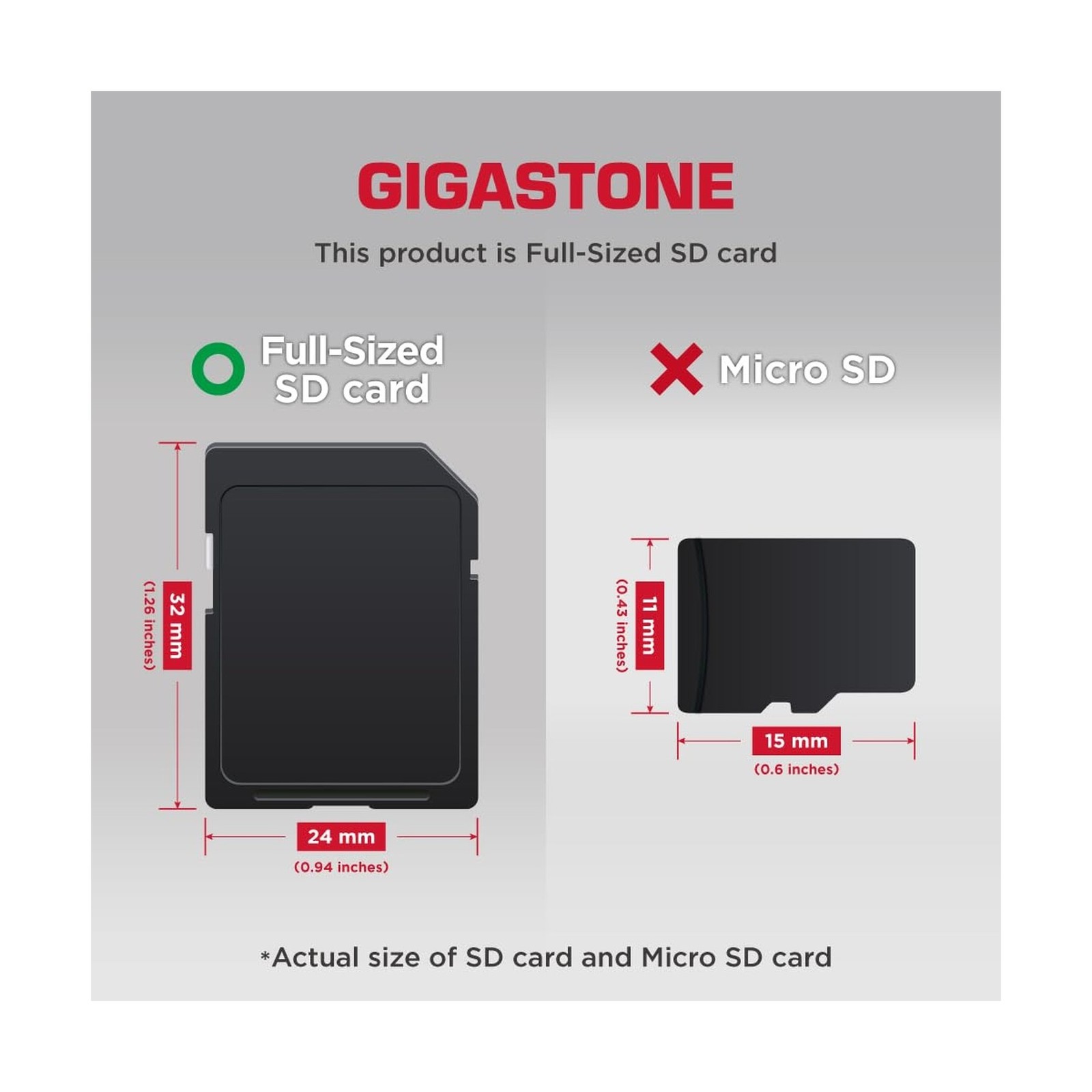 【5-Years Data Recovery】 GIGASTONE 1TB SD Card with USB Type C Card