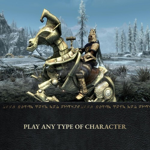 Skyrim Anniversary Edition for Nintendo Switch 2 [Used Very Good Video Game]