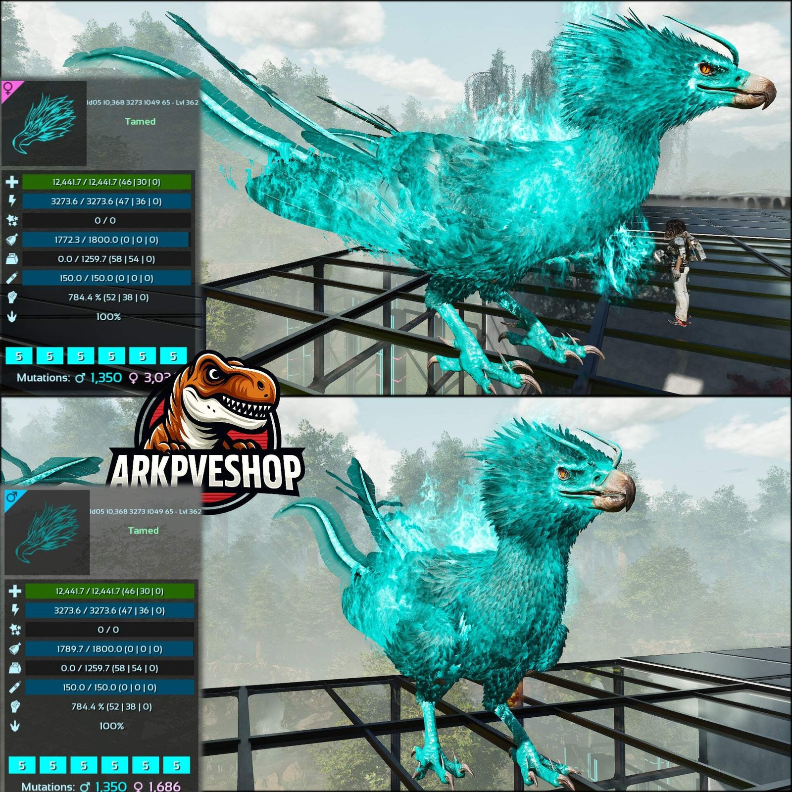 Phoenix Lvl 362 ASA PVE 🦖ARK Survival Ascended